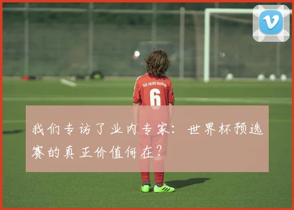 我们专访了业内专家：世界杯预选赛的真正价值何在？