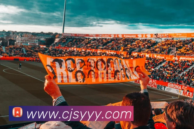 mk国际体育官网平台生态图